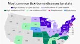 Map shows which tick-borne disease is most common in your state