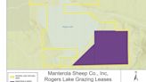 Coconino County leases portion of Rogers Lake to Manterola Sheep Company for sheep grazing