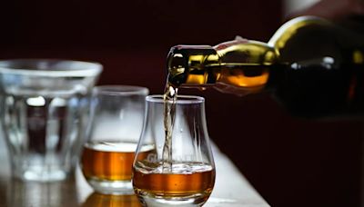 Mendoza será la nueva capital para bebidas espirituosas, aperitivos y vermouth en octubre | Economía