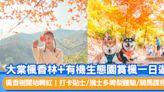 香港紅葉2022丨大棠楓香林+有機生態園賞楓一日遊丨楓香樹開始轉紅！打卡貼士/摘士多啤梨體驗/騎馬課程