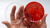 Newer antibiotic effective against deadly staph infection in trial