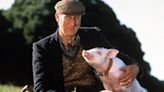 ‘Babe’ Actor James Cromwell Rescues Baby Pig From Slaughter, Names It In Movie’s Honor