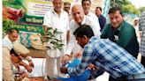 Plantation drive held on 75th Van Mahotsav in Kangra’s Jawali