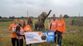 Family visit elephants in zoos across UK in memory of daughter