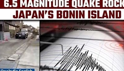 Japan Earthquake: Bonin Island hit by magnitude 6.5 earthquake, USGS says | Oneindia News