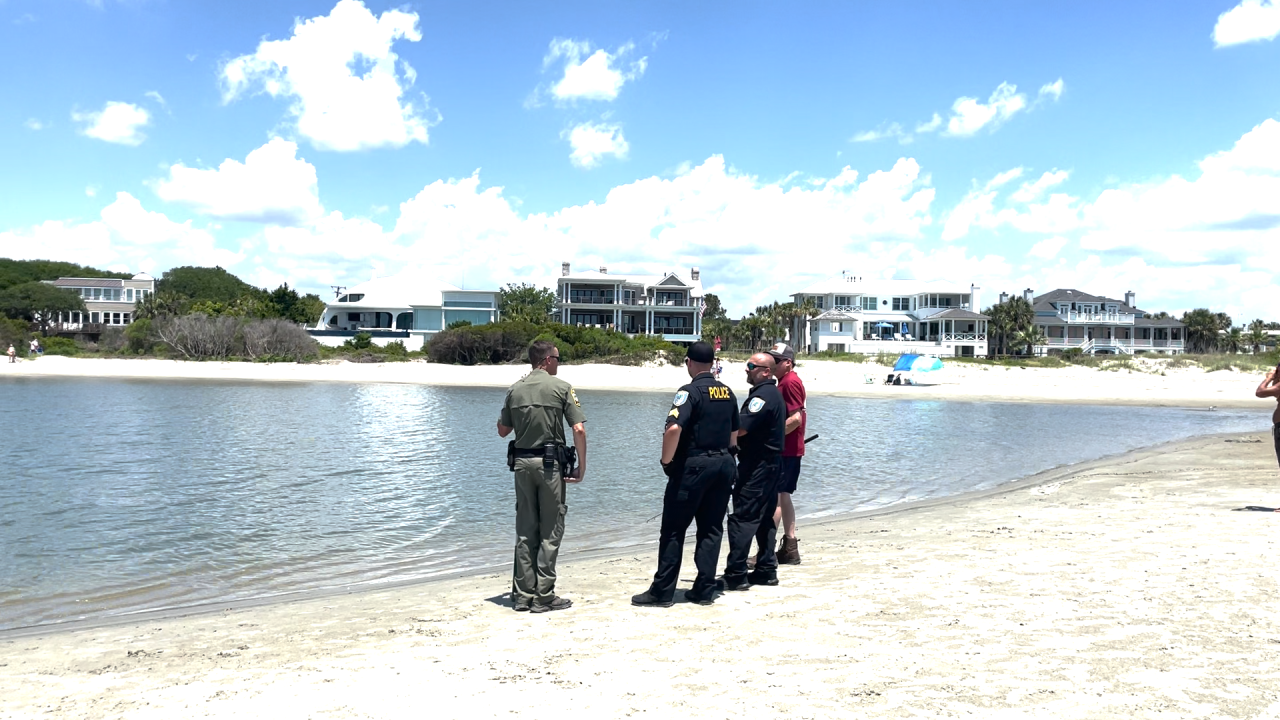 Alligator stuck in gully on Sullivan’s Island