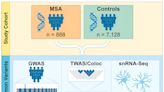 Research team identifies four new genetic risk factors for multiple system atrophy