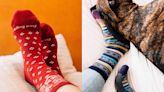 The 11 Best Socks That Everyone Will Love