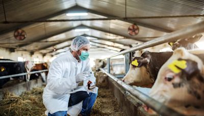 Bird flu’s spread from poultry to cattle to humans provokes worry among feds, states