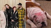 The Osbourne Family Adopts a Dog That Was 'Severely Burned': He's 'the Most Beautiful Thing'