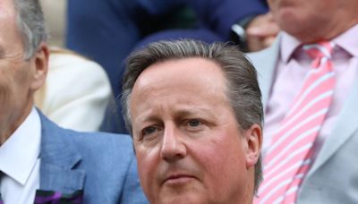 Ex-PM David Cameron says Ukraine can use British weapons in Russia