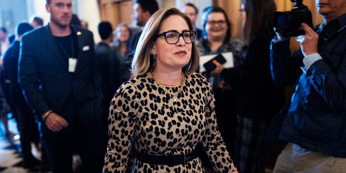 Kyrsten Sinema says she's 'fairly libertarian' and wants to work in the private sector after leaving the Senate: 'That's where the money comes from'