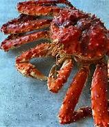 Live Norwegian Red King Crab - Buy at Regalis Foods