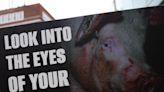 Animal activists charged over pig abattoir gas chamber protest