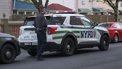 Man killed by own pit bull in NYC