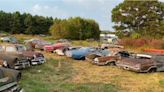 Junkyard Is A Graveyard Of Rotting Chevys