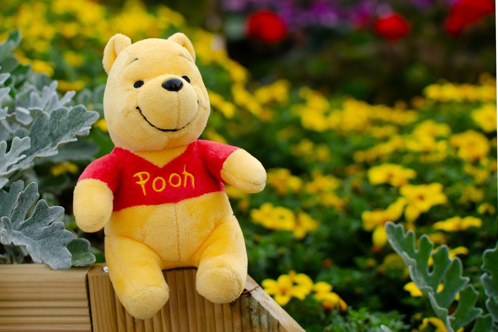Winnie The Pooh-Themed Coin Soars 46% As Memecoins Continue To Soar Despite Bearishness Seen In Bigger Cryptos...