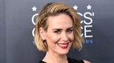 Sarah Paulson says her friend Clementine Ford’s missing dog has been found after public appeal