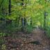 University of Wisconsin–Madison Arboretum