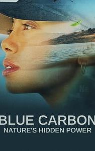 Blue Carbon: Nature's Hidden Power