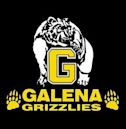 Galena High School