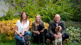 As pet owners turn to mobile insurance apps, Lassie raises $25M Series B led by Balderton