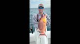 Local fishermen make the best of poor Gulf weather with mangrove snapper and hogfish