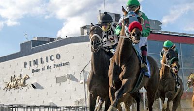 Preakness 2024: What you need to know