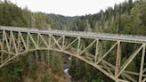 Teen Survives 400-Foot Fall Down Canyon At Washington State Bridge, Defying Odds