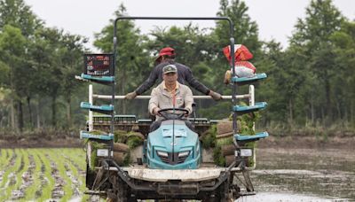 Heavy Rains Threaten China’s Rice as Extreme Weather Grips South