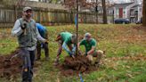 UK tree expert an educator and healer who helped us to see what is possible | Opinion