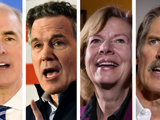 Democratic Senate incumbents leading in 2 swing states: Polling