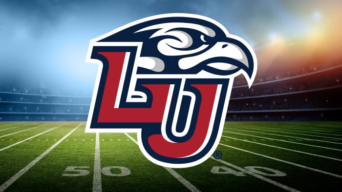 Liberty road game at Appalachian State canceled