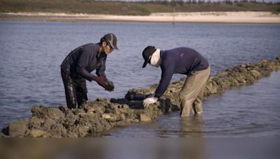 第4屆「榮譽步道師」頒獎 表揚對維護環境、文化貢獻