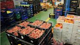 La Policía controla la trazabilidad de 50.000 kg de productos hortofrutícolas en la Marina Alta