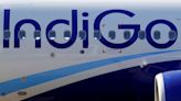 IndiGo co-founder's wife to sell 4% stake in Indian carrier -report