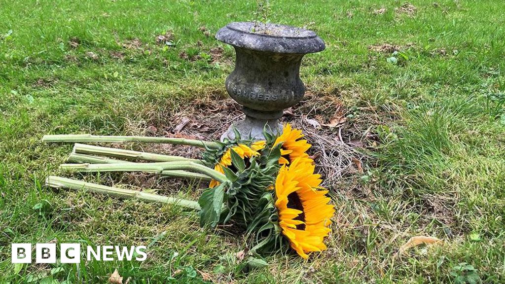 Royton Cemetery mass grave: Babies and children among 300 bodies found