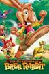 The Adventures of Brer Rabbit