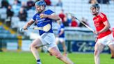 Waterford SHC round up: Austin Gleeson shoots Mount Sion into quarter finals