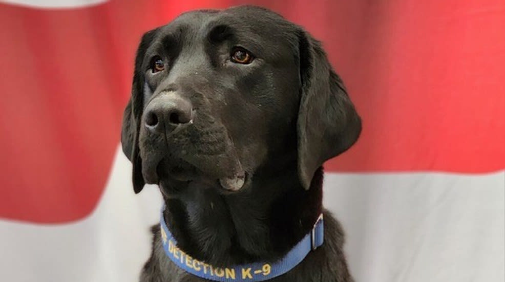 K9 Taylor joins the Office of the State Fire Marshal