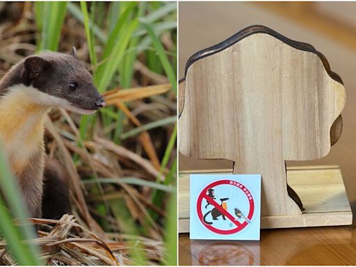 不要再餵啦！ 強化宣導切勿餵食野生動物 靜電貼限量送 | 蕃新聞