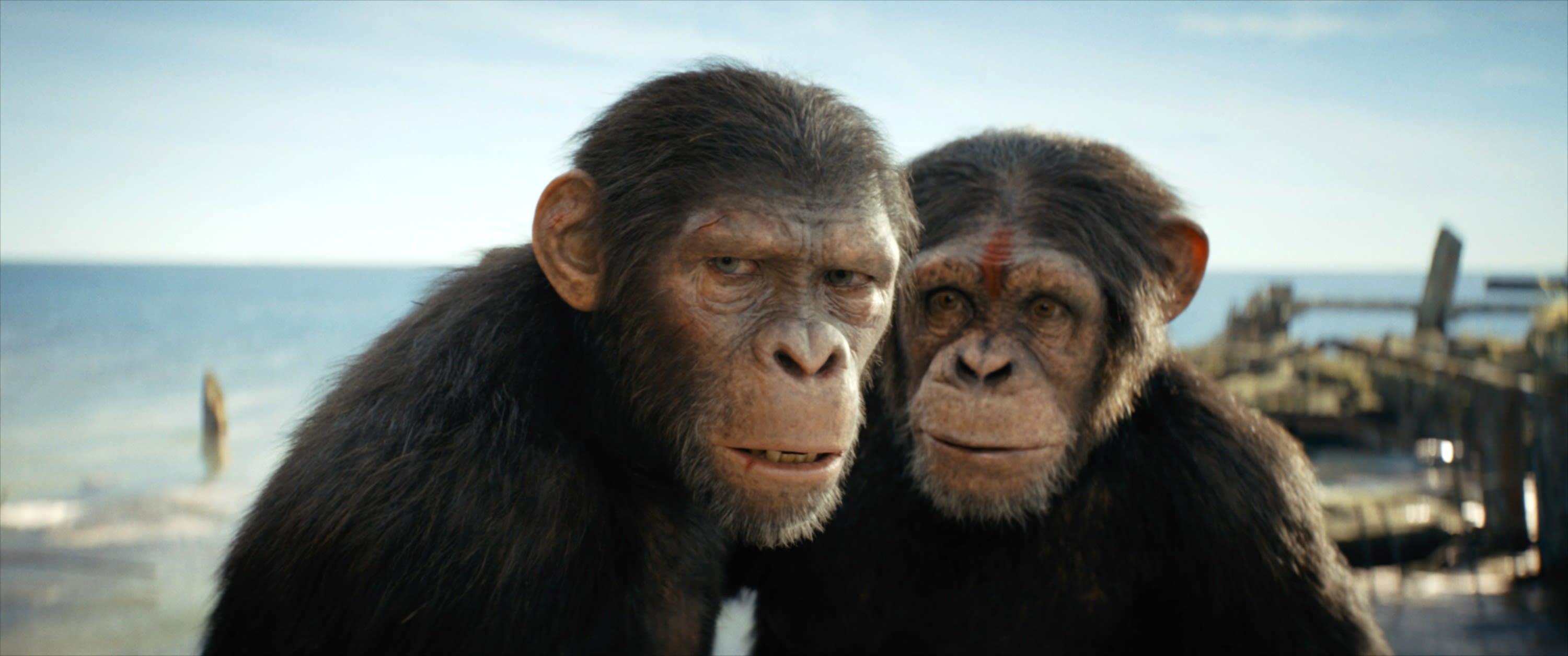 Box Office: ‘Kingdom of the Planet of the Apes’ Hits $237 Million Globally, ‘IF’ Nears $60 Million
