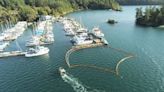 Derelict boat with troubled past sinks off Orcas Island