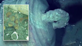 Expedition to 'holy grail' shipwreck full of gold, emeralds begins in Caribbean Sea