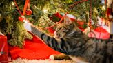 9 Expert Ways to Cat-Proof Your Christmas Tree