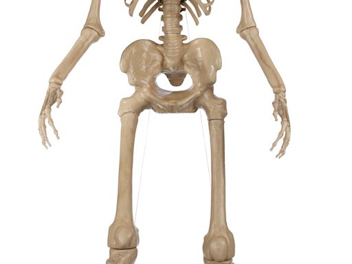 Halloween decor drop: Home Depot's 12-foot skeleton, 7-foot-long Skelly dog go on sale soon