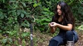 Elena Chaboteaux: estudiando los insectos de la Amazonía peruana y su contaminación con mercurio