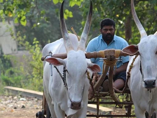 Alarming Spurt of Farmer Suicides in Maharashtra: 1,046 Cases Reported from January 1 to May 31 - News18