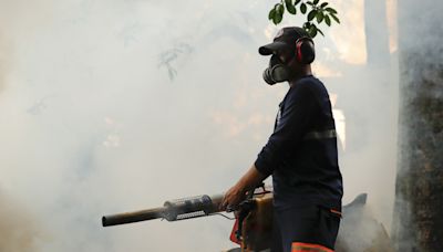 El Salvador intensifica fumigación masiva por aumento de niños hospitalizados con dengue