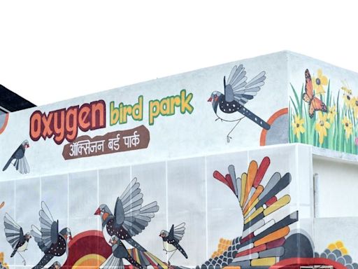 A Natural Habitat on A National Highway: What is Gadkari’s First-of-Its-kind ‘Oxygen Bird Park’ in Nagpur? - News18